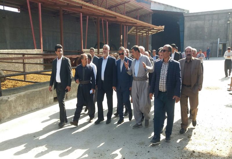 مدیران استان کردستان در راستای حمایت از تولید رتبه اول رعایت ضوابط نباشند