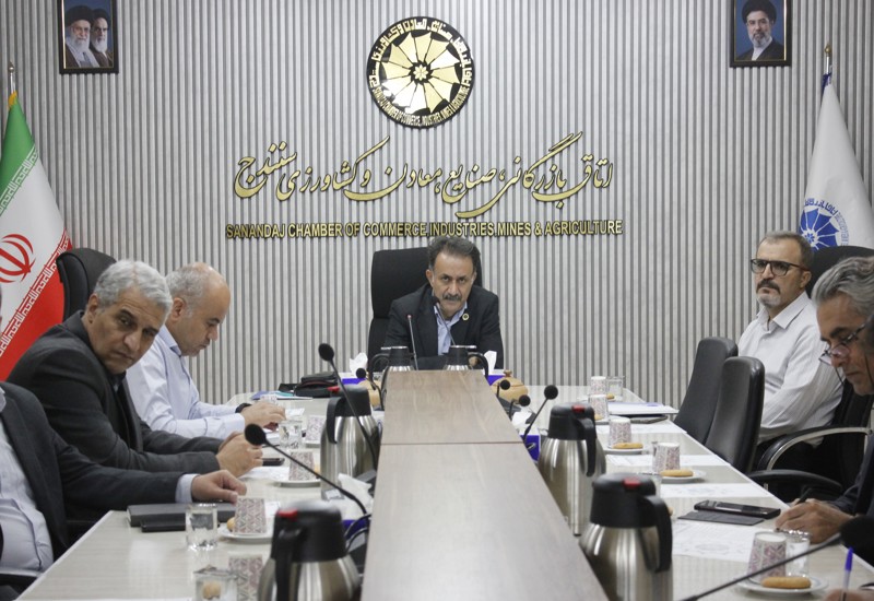 هم افزائی مراکز آموزشی و بخش خصوصی نیاز اصلی توسعه کردستان است