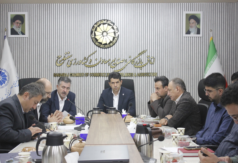 ظرفیت اقتصادی صنایع دستی را نادیده نگیریم